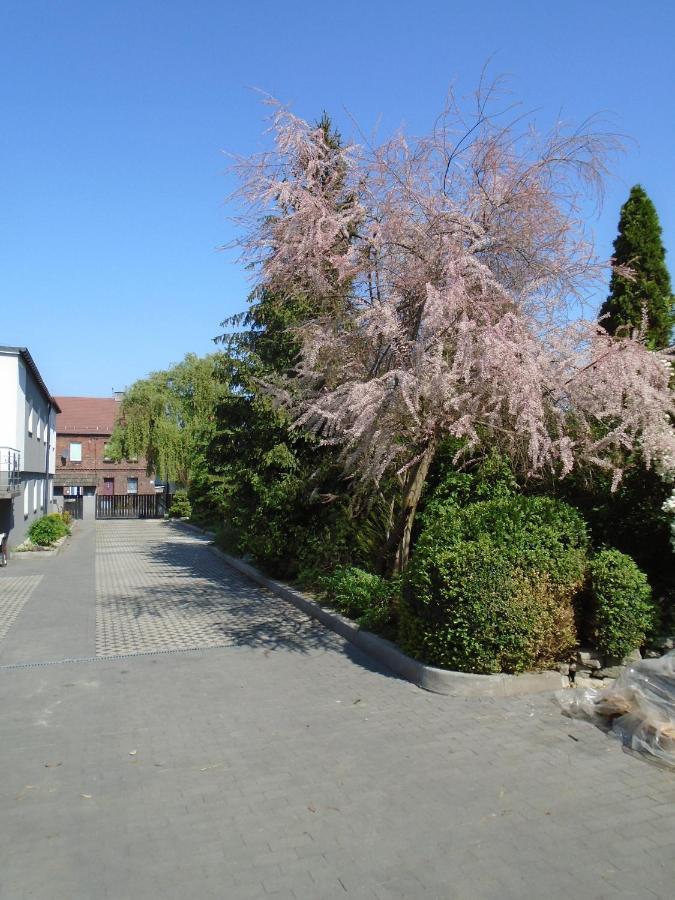 Villa Art Korab Gliwice Eksteriør billede